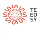 Techno Edge Systems LLC